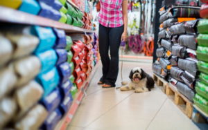 Entenda Nesse Artigo Como Obter A Redução De Impostos Para Seu Pet Shop Em 6 Passos Simples - Contabilidade em Diadema | Online Contábil