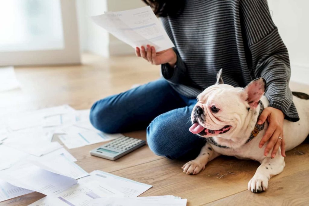 Planejamento financeiro simples: 5 passos para fazer no seu pet shop