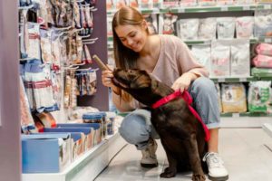 Entenda O Regime Tributário E Descubra O Ideal Para Seu Pet Shop - Contabilidade em Diadema | Online Contábil