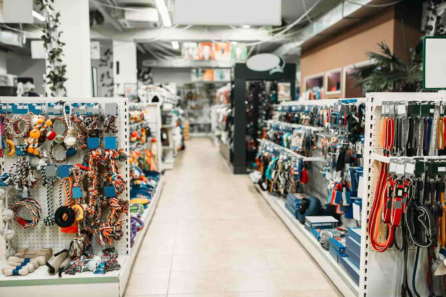Cnae Pet Shop O Que é, Por Que é Importante E Como Escolher O Código Certo Para O Seu Negócio - Contabilidade em Diadema | Online Contábil