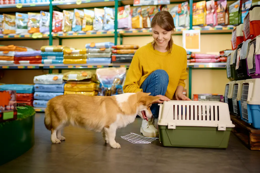 Planejamento Tributário Para Pet Shops - Contabilidade em Diadema | Online Contábil